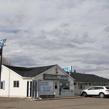 Bluebird Motel Innisfail Екстериор снимка